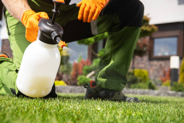 Pest Prevention Services in Amherst, TX