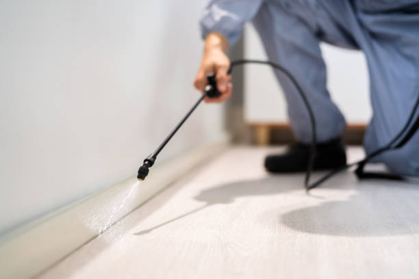 Best Best Pest Control Companies  in Amherst, TX
