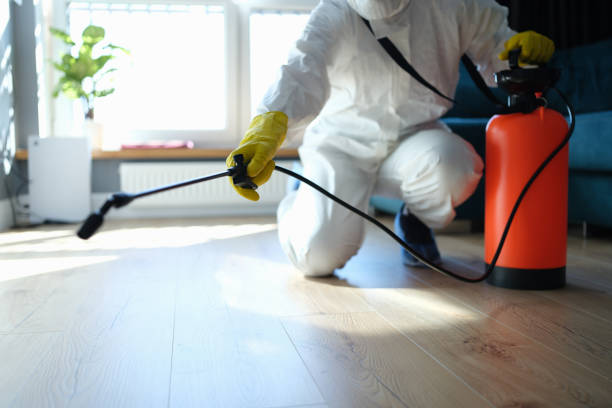 Best Termite Control Services  in Amherst, TX