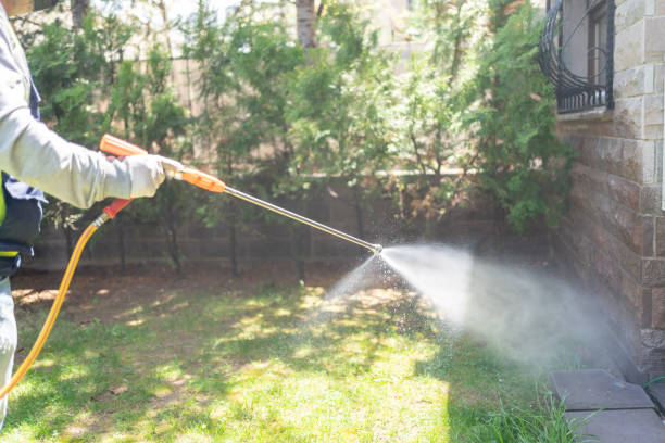 Best Pest Inspection Near Me  in Amherst, TX