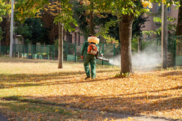 Trusted Amherst, TX Pest Control Experts